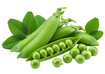 新鮮な緑色のエンドウ豆 瑞々しい葉と実 美しい配置