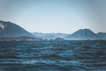 Obraz premium a wild day in tofino, vancouver island. summer clear day watching for sealife. bald eagles, sea otters, whales, killer whales around. sun is shining, the ocean waves are moving through the islandsc