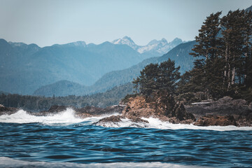 a wild day in tofino, vancouver island. summer clear day watching for sealife. bald eagles, sea otters, whales, killer whales around. sun is shining, the ocean waves are moving through the islandsc