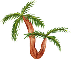 watercolor palm tree
