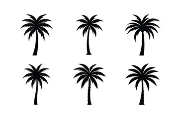 Fototapeta premium Palm Tree Line Art Design