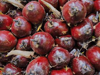 Ripe palm oil fruit, palm bunches from farmers' farms
