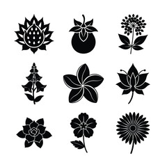 Silhouette Flower, Fruit, and Plant Icons for Elegant and Minimalistic Designs