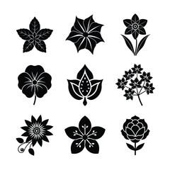Collection of Nine Elegant Floral and Plant Icons in Black Silhouette Style for Creative Design 