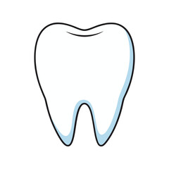 Healthy human molar tooth vector illustration. Clean white dental anatomy icon, oral care concept, medical tooth diagram.

