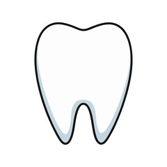 Healthy human molar tooth vector illustration. Clean white dental anatomy icon, oral care concept, medical tooth diagram.

