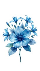 A vibrant blue  flowered arrangement with multiple blooms and green leaves on a white background. 