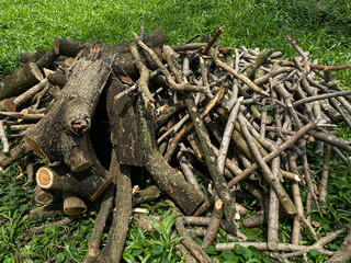 Pile of wood on top of green grass