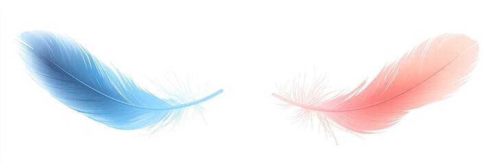 Obraz premium Two pastel-colored feathers