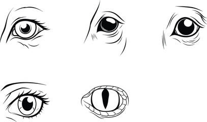Black and white vector illustration of various animal eyes design elements