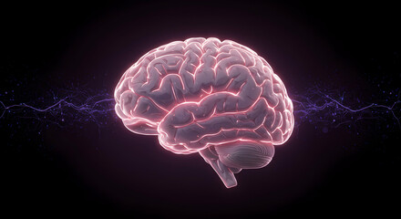 Neurology, Neuroscience, Neurons, Illuminated Human Brain with Neural Pathways