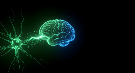 Obraz premium Nerve cell, Neuroscience, Neurology, Neuron Connecting to Brain - Neural Network Concept