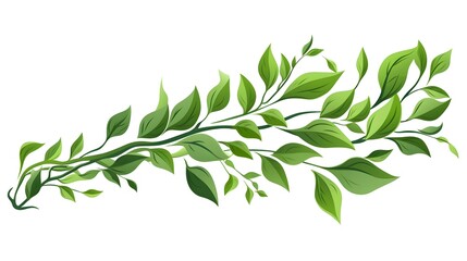 Fototapeta premium Professional Greenery Branch Leaves Foliage Ecology Botanical Image for Design Projects