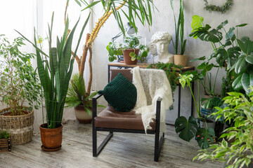 Obraz premium A fragment of the interior with a variety of indoor plants and plaster sculptures. Urban jungle concept. Biophilia design.