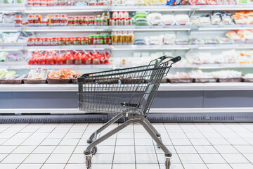 Empty Shopping Cart in Grocery Store