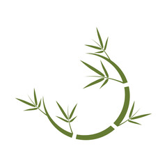 Bamboo tree logo design