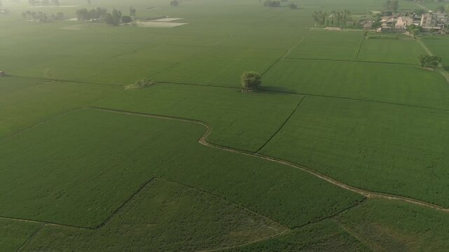 Drone shot of farm lands of Punjab.