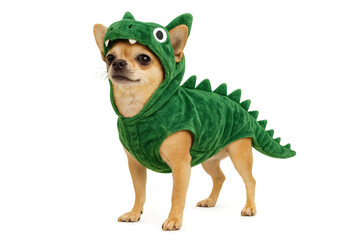 Naklejka premium Adorable chihuahua wearing green dinosaur costume on transparent background, funny dog cosplay outfit