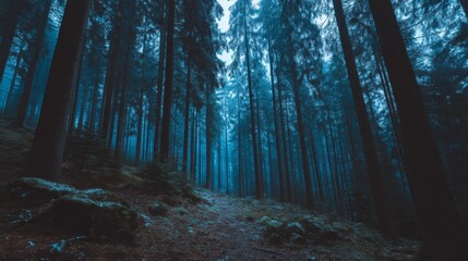 Fototapeta premium Tranquil Blue Forest Scene with Towering Trees and Soft Misty Atmosphere in Nature at Twilight