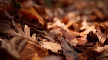 Fallen Autumn Leaves on Ground Creating Colorful Natural Background in Detail with Warm Earthy Tones and Textures