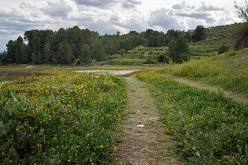 Paisaje en día de tormenta con camino de tierra en primavera y flores silvestres, Beniarres,...
