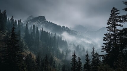 Misty Mountain Landscape with Dense Forest and Overcast Sky in a Dramatic Atmosphere