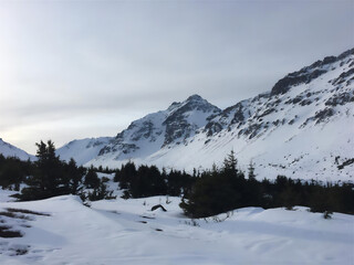 snow covered mountains