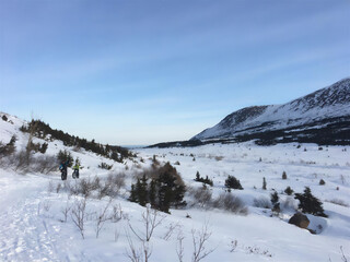 winter landscape in the mountains