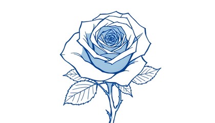 A blue  hued, line  drawn rose with leaves on a white background. 
