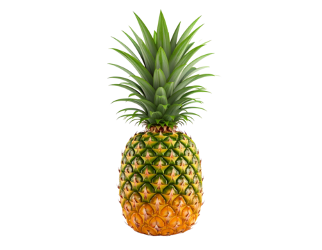 Pineapple with Sharp TextureTransparent PNG Format