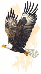 Fototapeta premium Bald eagle in flight illustration