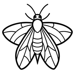 Elegant Glitter Moth Vector Outline