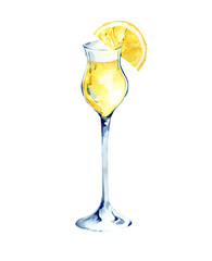 Watercolor Limoncello Cocktail Illustration Citrus Drink with Lemon and Vanilla Hand Painted Bar Beverage, png