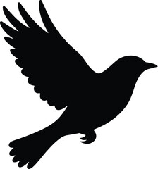 silhouette of a bird