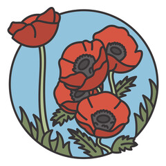 Poppy flowers nature