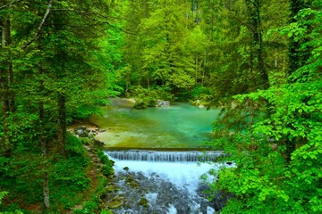 Obraz premium Spring of Kamniška Bistrica in a forest in Gorenjska, Slovenia