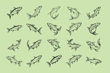 Fototapeta premium herring fish design, labeled line art vector silhouette illustration.