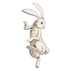Rabbit colored chinese zodiac