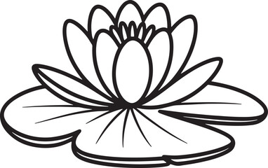 Fototapeta premium Simple line drawing water lily flower botanical illustration