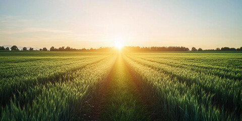 Obraz premium Road leads through fields to a glowing sunrise Generative AI