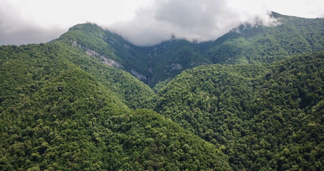 high mountains covered with forest