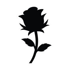 rose vector illustration