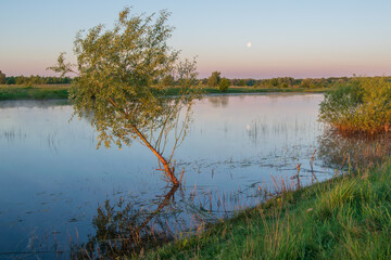 spring  landscape with lake and field