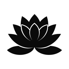 lotus flower vector illustration