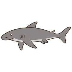 Obraz premium shark vector illustration