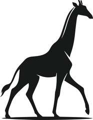 Wild animal giraffe vector isolated silhouette