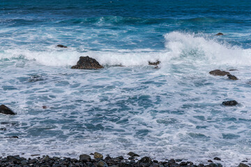 Obraz premium Coast of the village of San Andres.on the island of Gran Canaria, Canary Islands