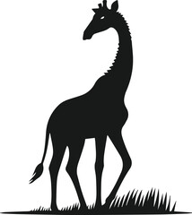 Wild animal giraffe vector isolated silhouette