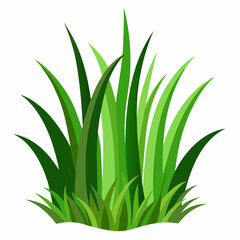 Vibrant Green Grass Blades Illustration for Nature Designs