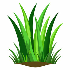 Vibrant Green Grass Blades Illustration Isolated on White